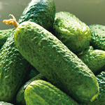 Free HTML5 Responsive Template